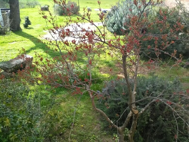Azienda Bellelli Turismo Rurale