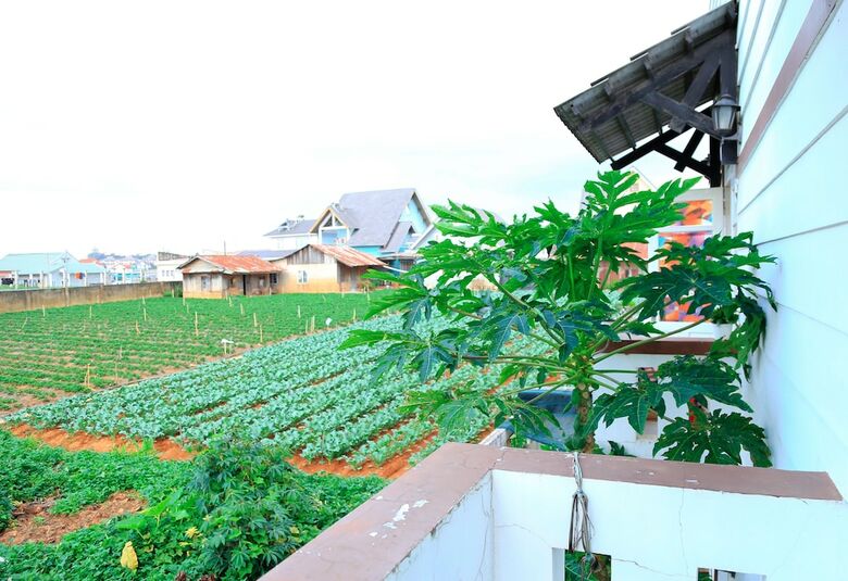 Hotel Hoai Huong Homestay