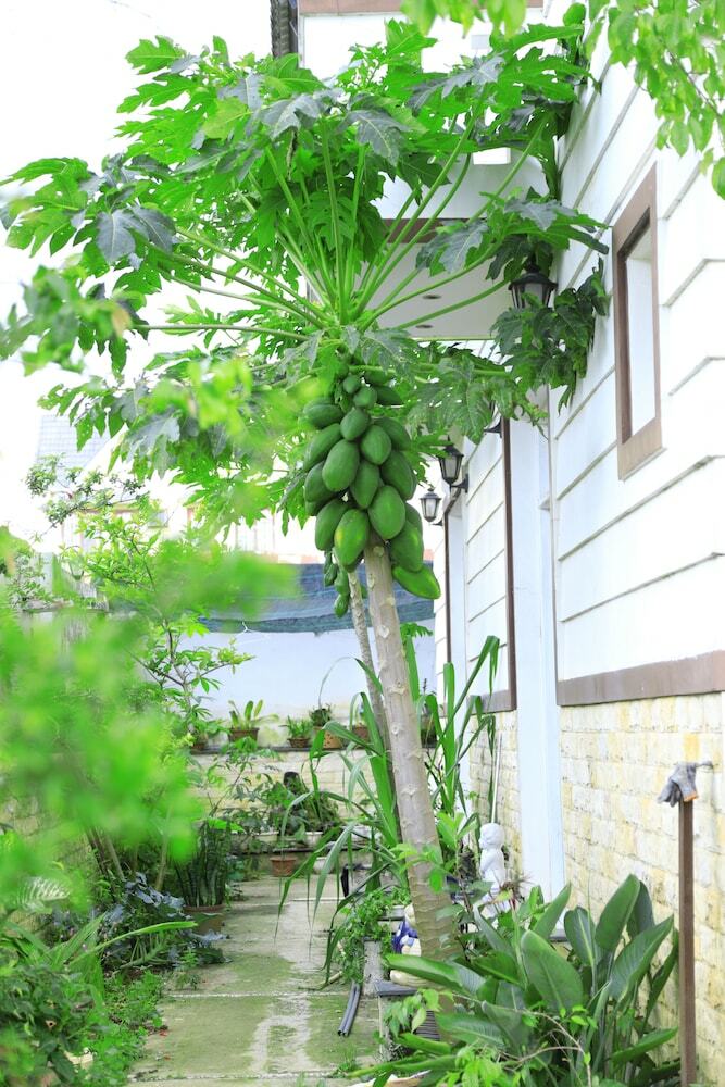 Hotel Hoai Huong Homestay