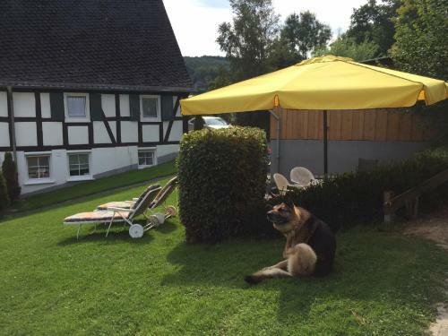 Apartamento Ferienbauernhof Familie Stratmann