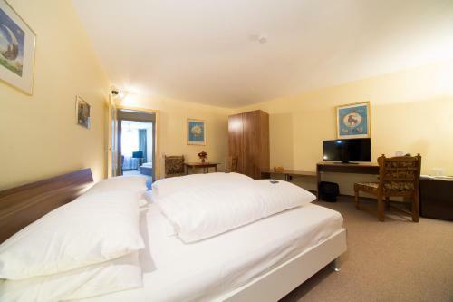 Hostal Hotel Simon