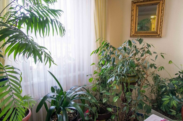 Hotel H�tel De B�le