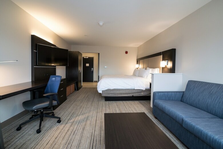 Hotel Holiday Inn Express & Suites Allen Park