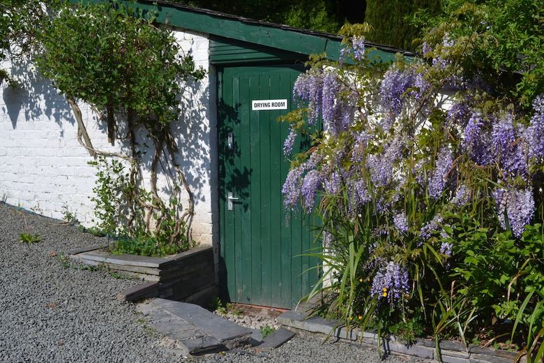 Hotel Coed-y-fron Guest House