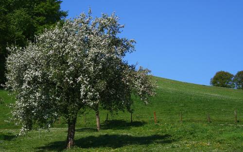 Apartamento Haus Berghoff