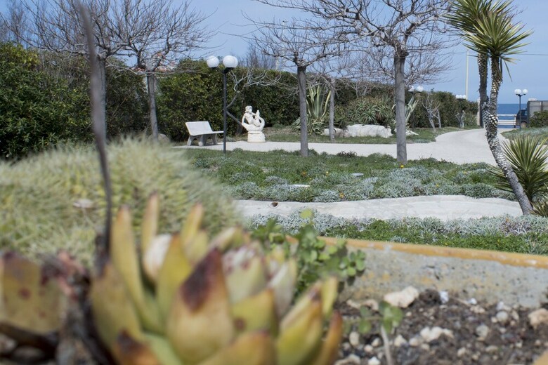 Bed & Breakfast Terradamare