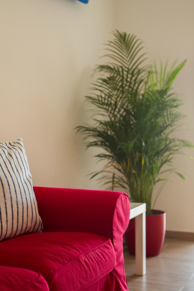 Apartamentos Bonkan