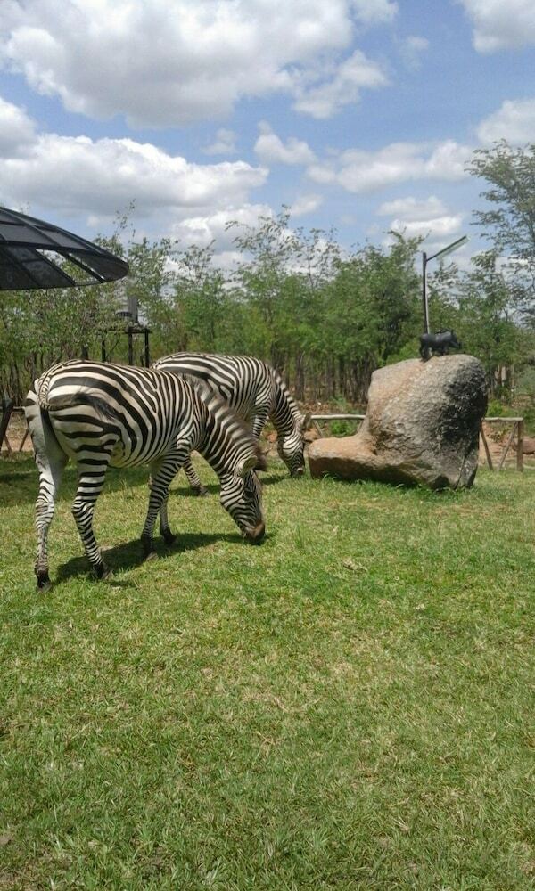 Posada Warthogs Bush Camp