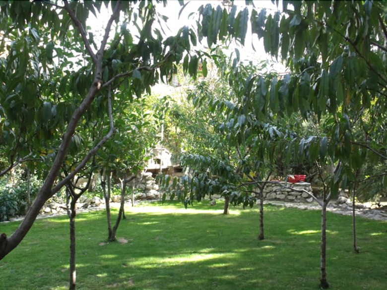 Apartamento Villa Palma