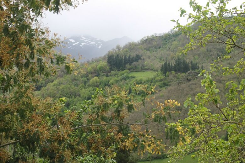 Hostal Casona De Trevi�o