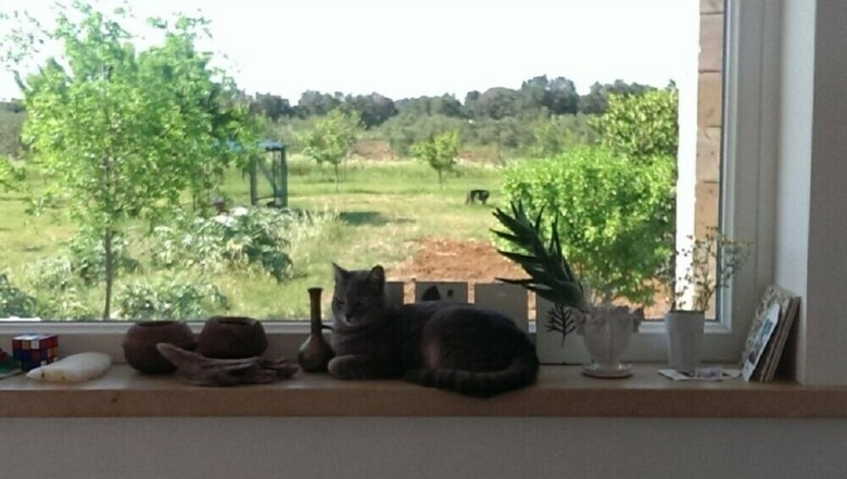 Bed & Breakfast Sosta A Ponente
