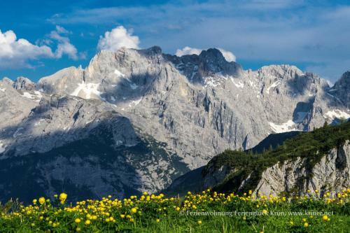 Apartamentos Ferienwohnung Feriengl�ck