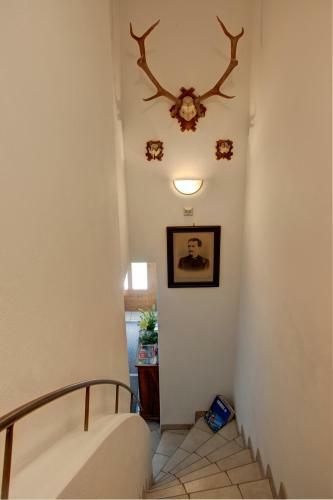 Apartamento Haus Abendsonne