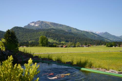 Apartamento Haus Panorama