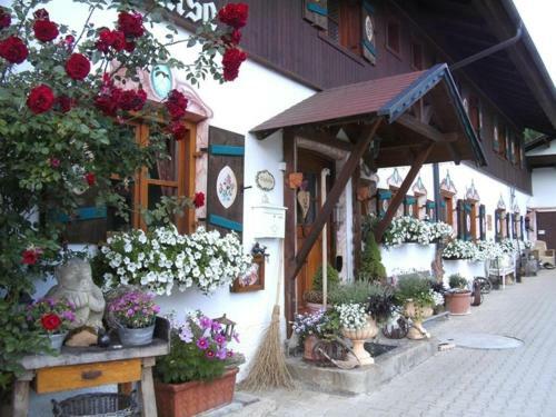 Hostal Pension Louise