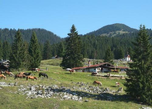 Hostal G�stehaus Schwemmbauer
