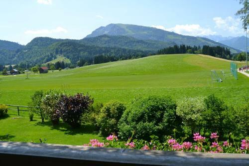 Apartamento G�stehaus Willfert