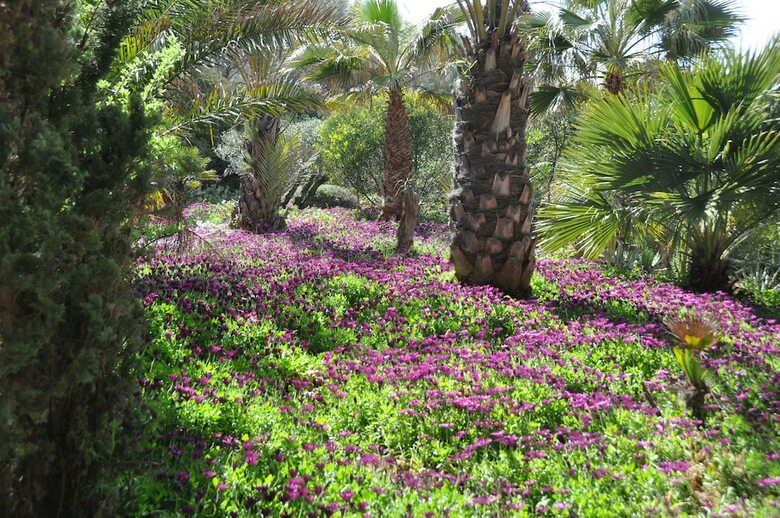 Bed & Breakfast Villa Hippocampe