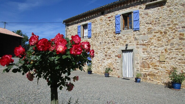 Hotel G�tes Et Chambres D'h�tes Peyrecout Tarn