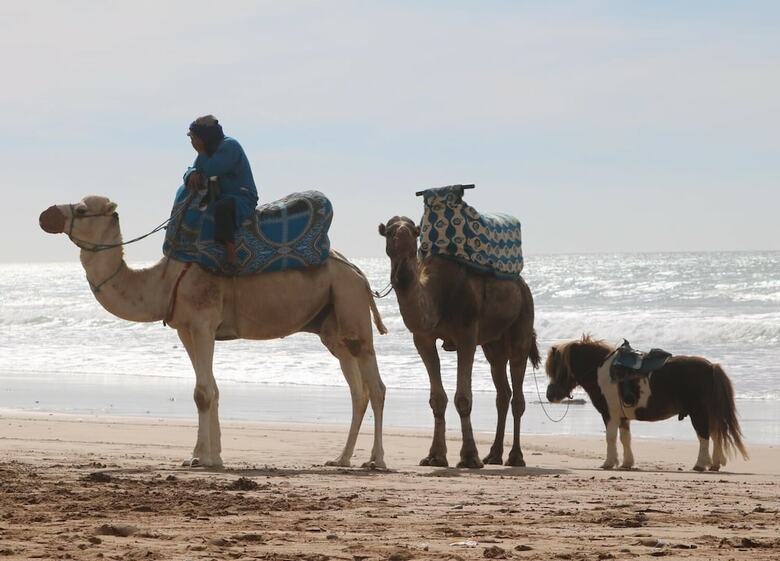 Hostal Azul Guest House Taghazout Bay - Hostel