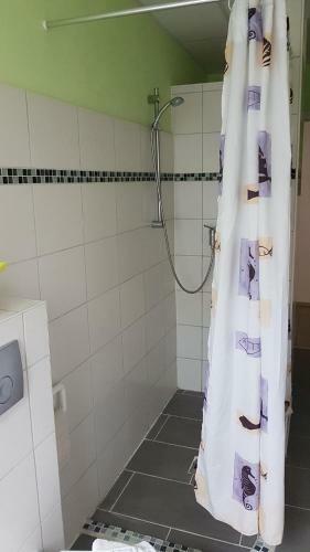 Hotel Pension Stechlinsee