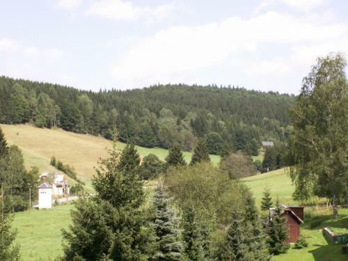 Apartamentos Ferienwohnung Sternkopf