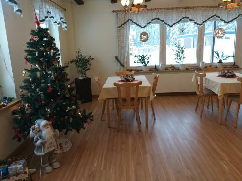 Hostal Pension Berghof