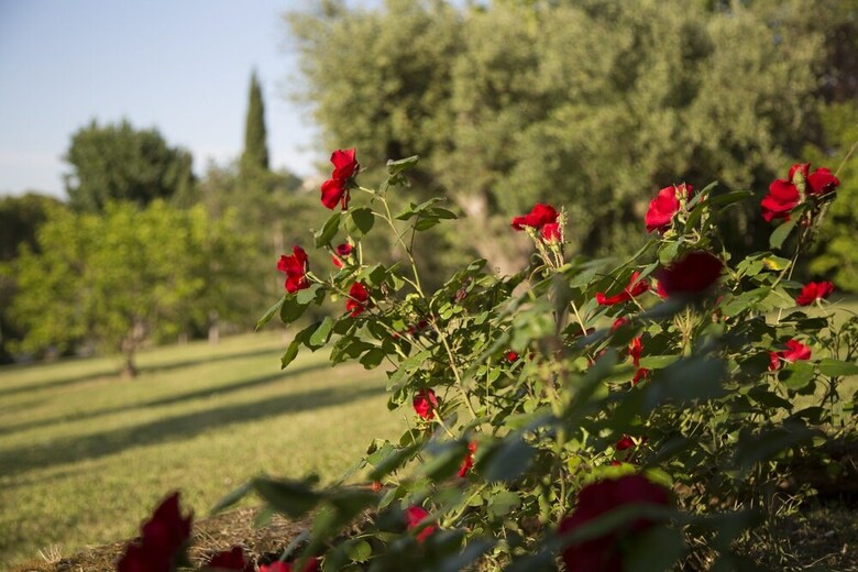 Villa Casali Marchigiani