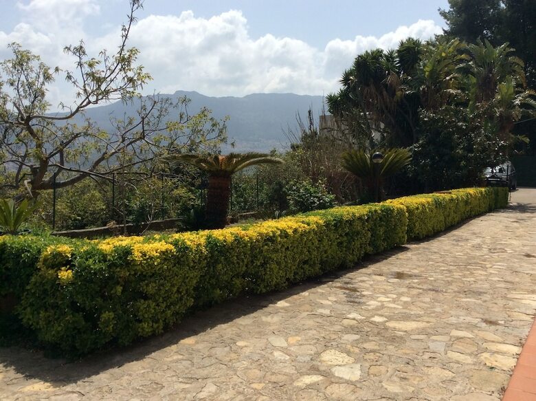 Bed & Breakfast Antico Limoneto Conca D'oro