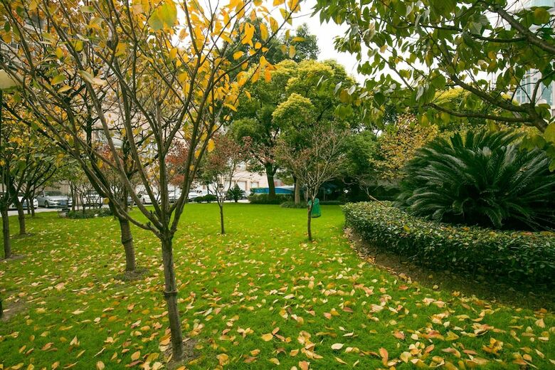 Apartamentos N2haus Dagu Road 4 Bedrooms
