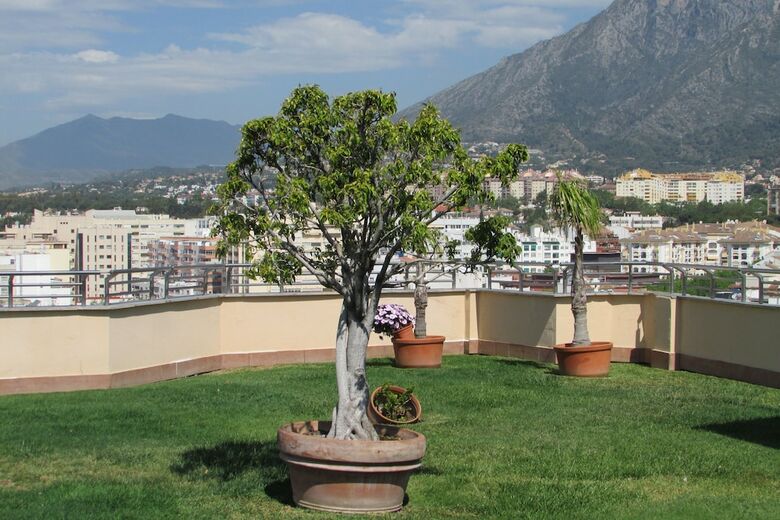 Apartamento Parquesol Marbella Playa