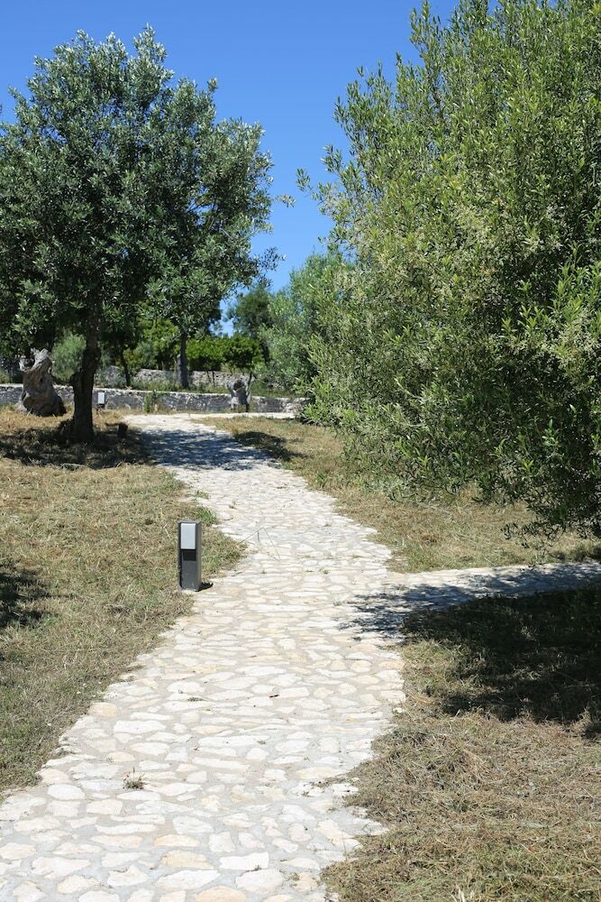 Hotel L'albitru
