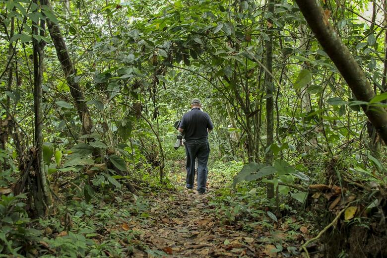 Jungle Experiences Zafiro