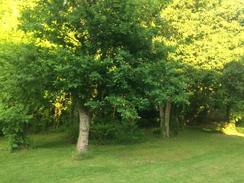 Bed & Breakfast La Belle Relax