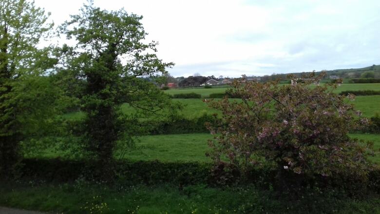 Bed & Breakfast Saxon Villa