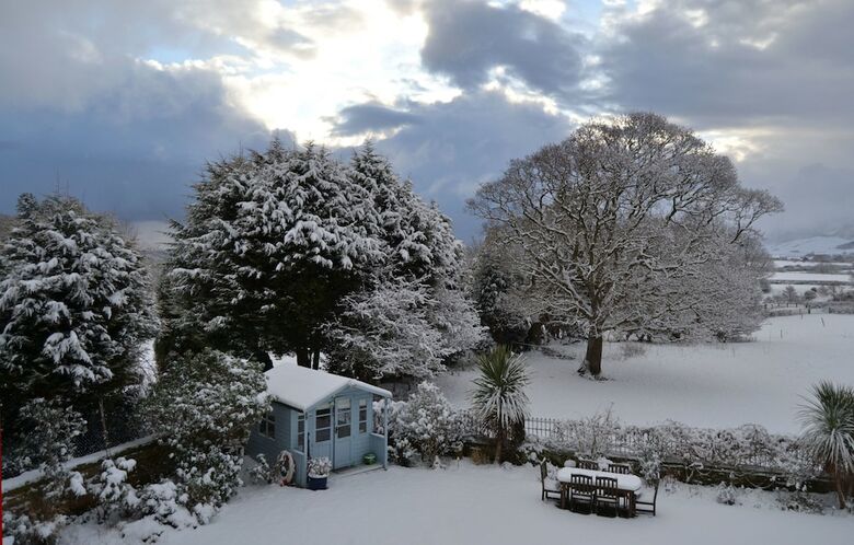 Bed & Breakfast Saxon Villa