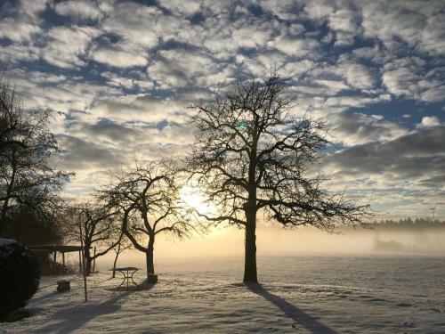 Pure Nature Munich - Amper Meadows/freising