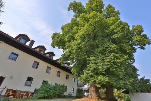 Hotel Bockmaier