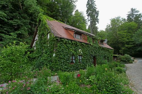 Hotel Boltenm�hle