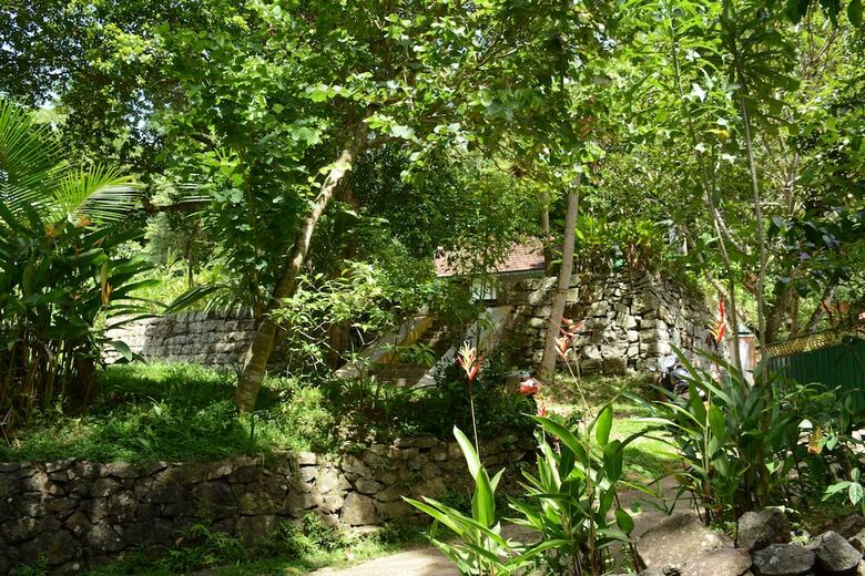 Hotel Jungle House