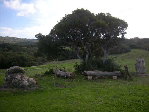 Agroturismo Country House Vignola Mare