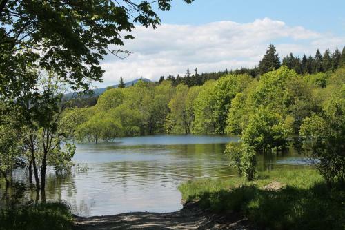 Ferienhaus Brockenhexe