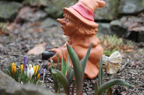 Ferienhaus Brockenhexe