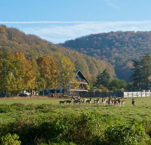 Hostal Pension Margarete