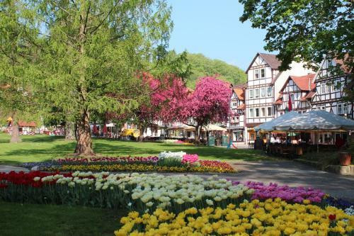 Hostal Haus Alice