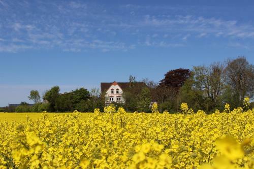 Apartamentos Hof Osterholz