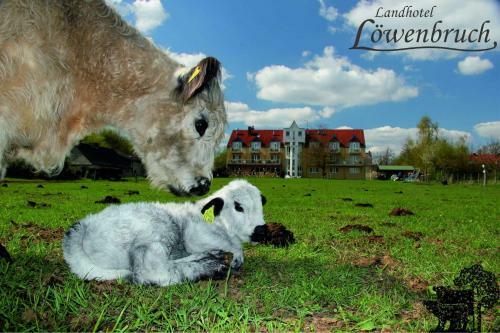 Landhotel L�wenbruch
