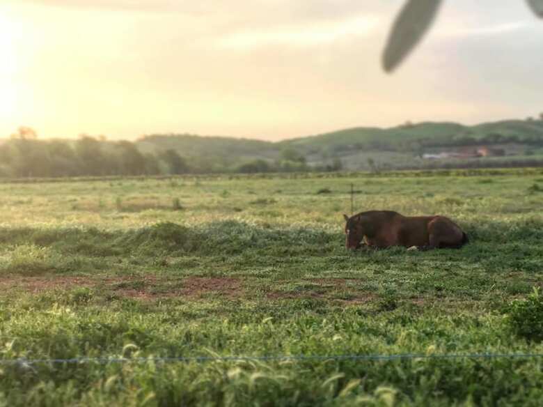 Agroturismo Agriturismo Il Puntoncino