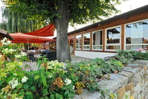 Hotel Dreim�delhaus