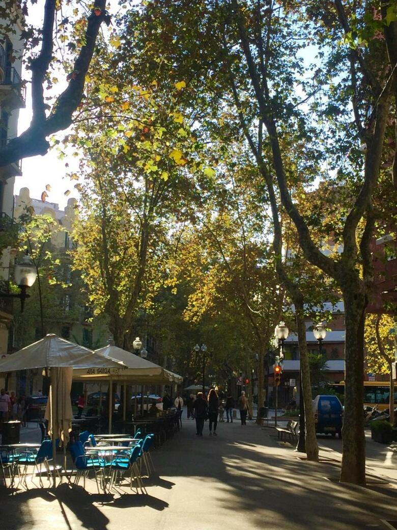 Apartamentos Dal� Residence